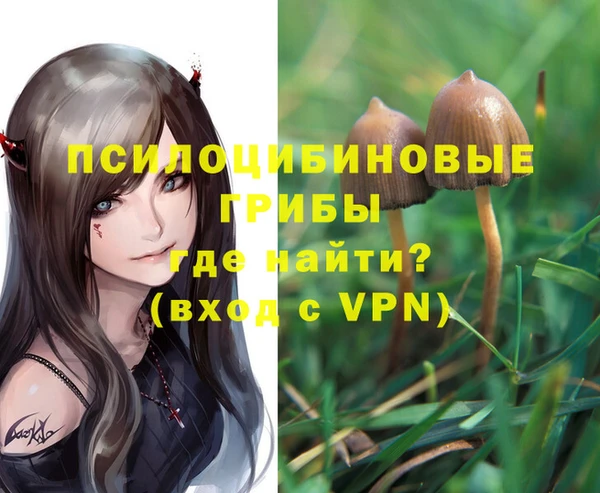 соль курить ск Аркадак