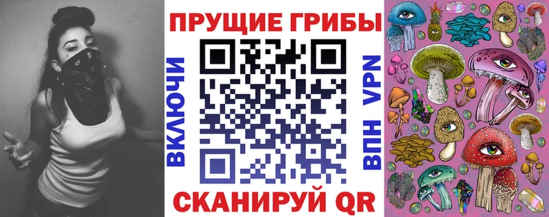 Псилоцибиновые грибы GOLDEN TEACHER  купить  цена  Люберцы 
